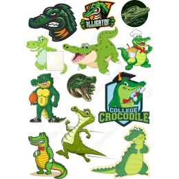 Alligator Bundle