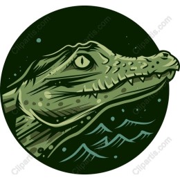 Crocodile Head