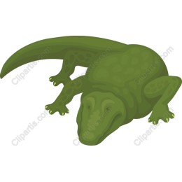Green Crocodile