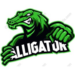 Alligator