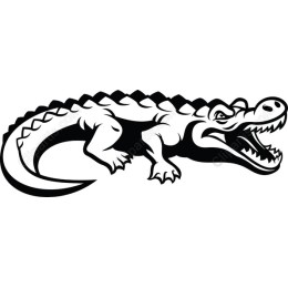 Fierce Crocodile