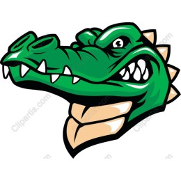 Fierce Green Crocodile Head