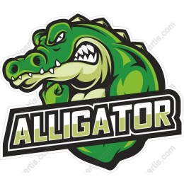 Alligator