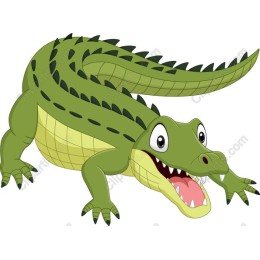 Cartoon Crocodile