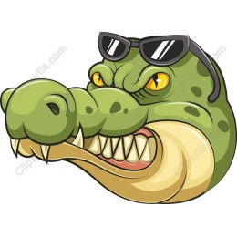 Cool Crocodile