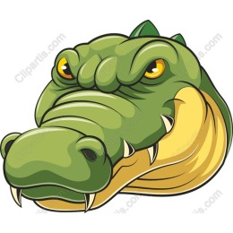 Charismatic Crocodile Head