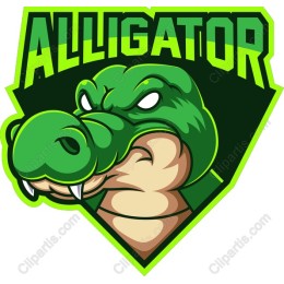 Alligator - Fierce and Unique