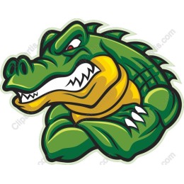 Fierce Alligator