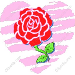Vibrant Red Rose Heart