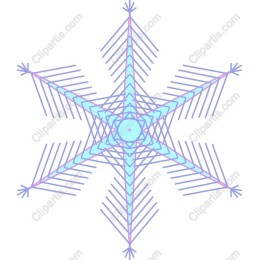 Elegant Winter Snowflake
