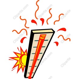 Vibrant Summer Thermometer