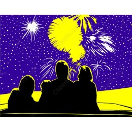 Vibrant Family Fireworks Celebration