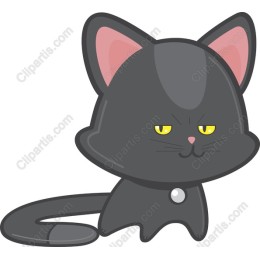 Adorable Black Cat