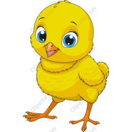 Cheerful Yellow Chick