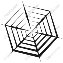 Spider Web