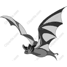 Flying Bat