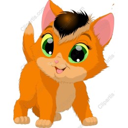 Playful Orange Kitten
