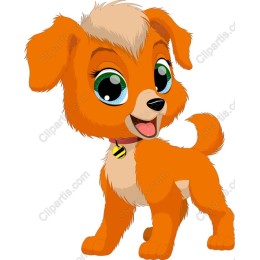 Playful Orange Puppy