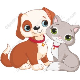 Cute Dog and Cat