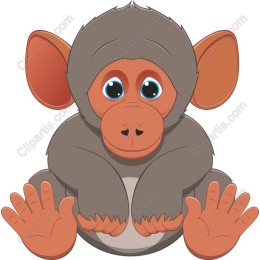 Cute Playful Monkey