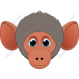 Cheerful Monkey Face