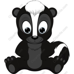 Cute Skunk Baby