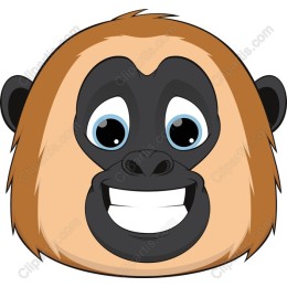 Cheerful Monkey Face