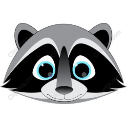 Adorable Raccoon