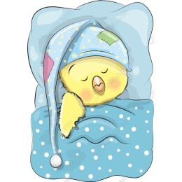 Charming Sleeping Chick