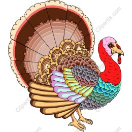 Vibrant Thanksgiving Turkey