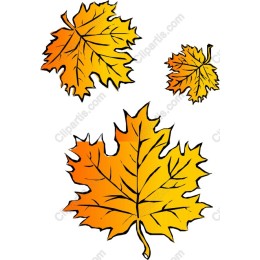 Vibrant Autumn Maple Leaves