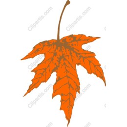 Orange Maple Leaf