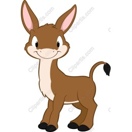 Playful Young Donkey