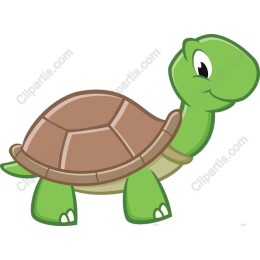 Cartoon Turtle