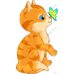 Charming Orange Kitten with Butterfly