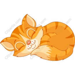 Sleeping Ginger Cat