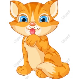 Playful Orange Kitten