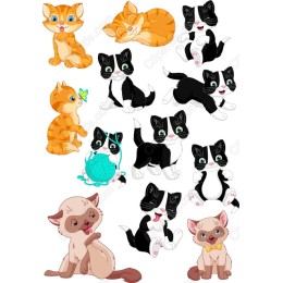 Cute Cat Set - 12 Adorable Feline