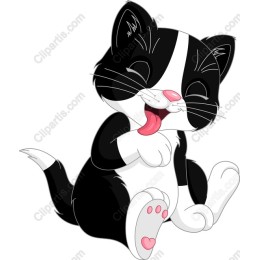 Adorable Black and White Kitten