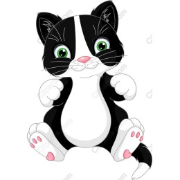 Whimsical Black and White Kitten