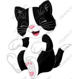 Playful Black and White Kitten