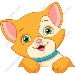 Cheerful Orange Cat
