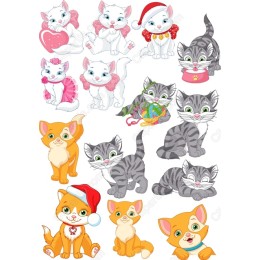Cute Cat Set