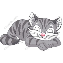 Sleeping Cat
