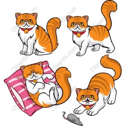 Charming Ginger Cat Collection