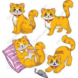 Playful Orange Cat Set