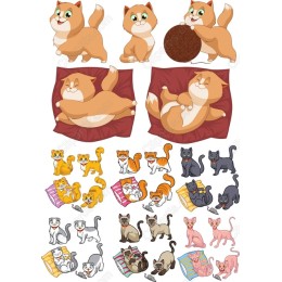 Adorable Cat Bundle