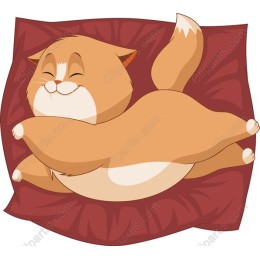 Sleeping Cat on Cozy Pillow