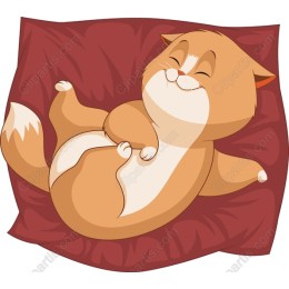 Cozy Sleeping Cat