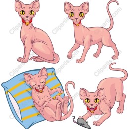 Playful Sphynx Cat Set